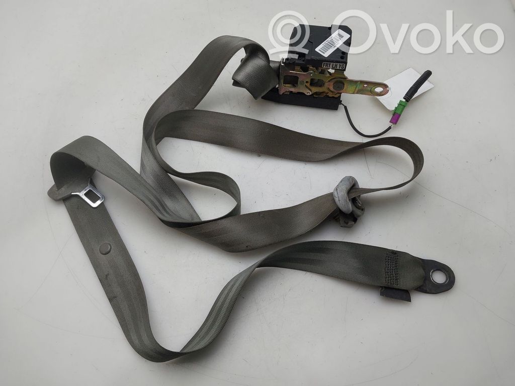 Cinturón delantero   33018911