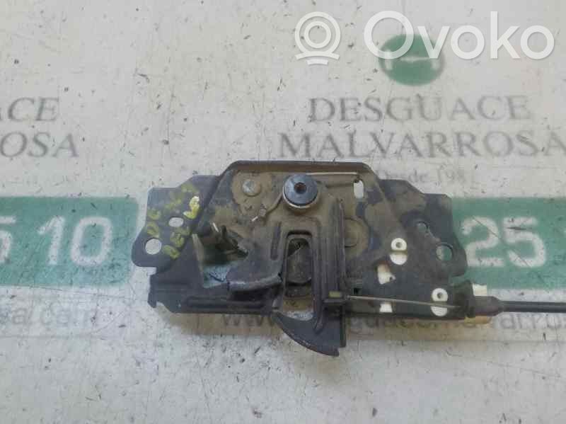 Tie down hook / loop   1808504