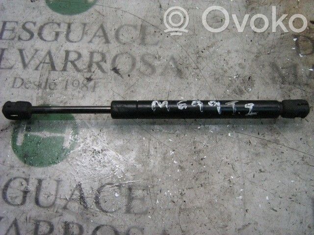 Tailgate/trunk strut/damper   51241960862