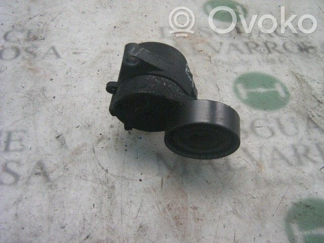 BMW 5 E39 Tendicinghia generatore/alternatore 