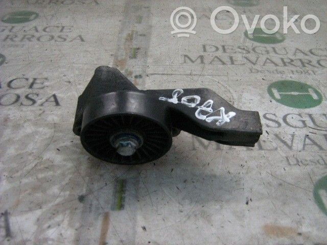 Fiat Punto (188) Întinzător curea generator/alternator