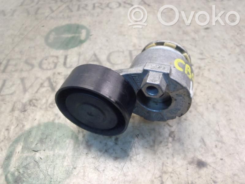 Renault Megane III Tendicinghia generatore/alternatore