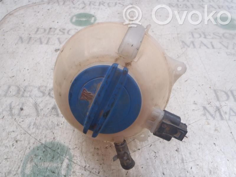Skoda Fabia Mk2 (5J) Vaso di espansione carburante