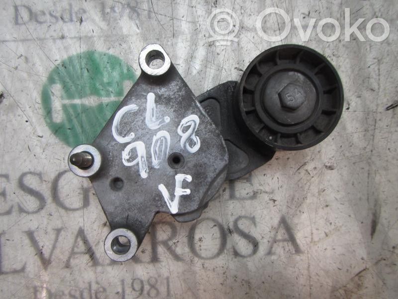 Tendicinghia generatore/alternatore