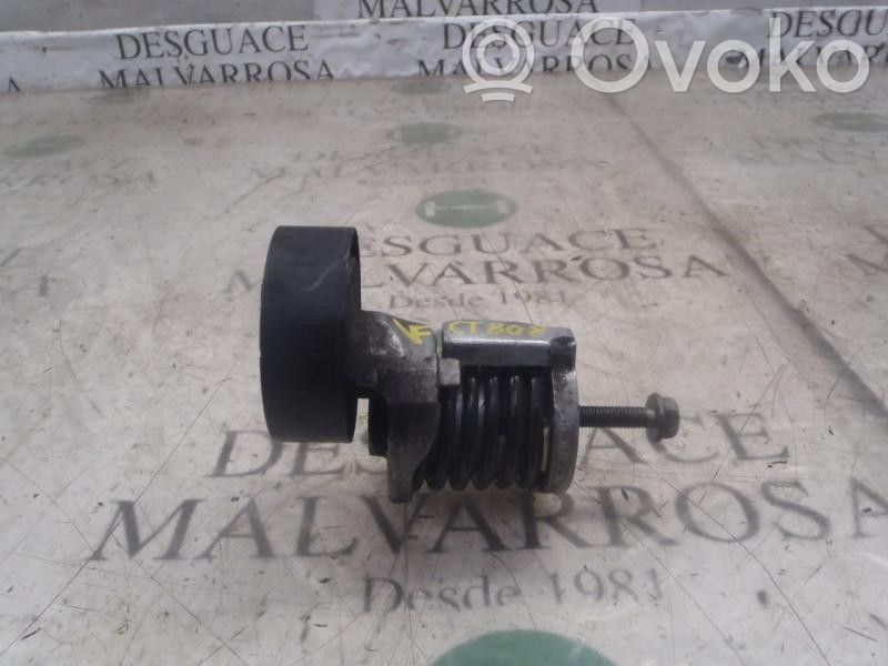 Skoda Fabia Mk2 (5J) Tendicinghia generatore/alternatore