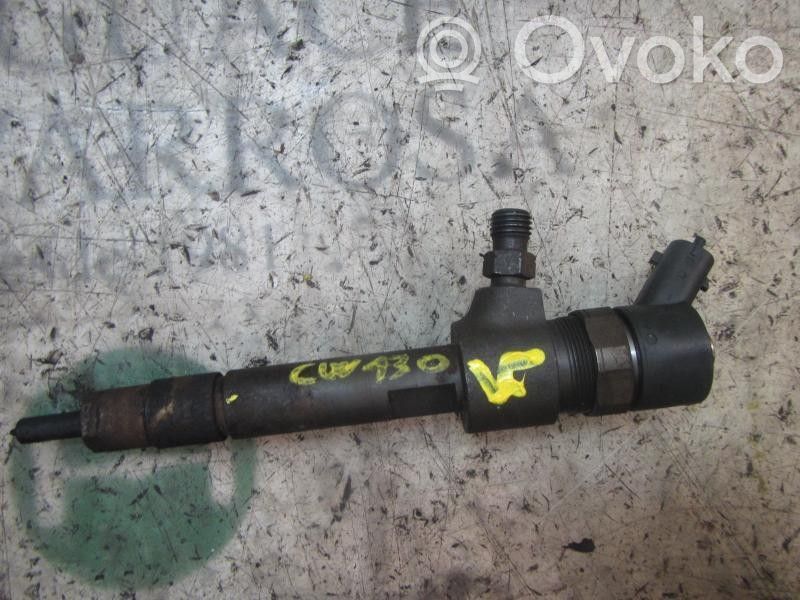 Inyector de combustible   55198217,0445110244,0445110244