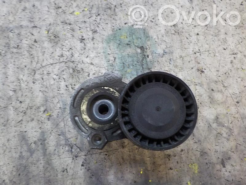 Tensor de correa del alternador   117501113R