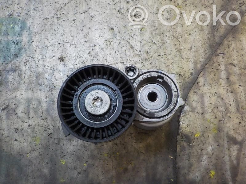 Skoda Fabia Mk2 (5J) Napinacz paska alternatora 