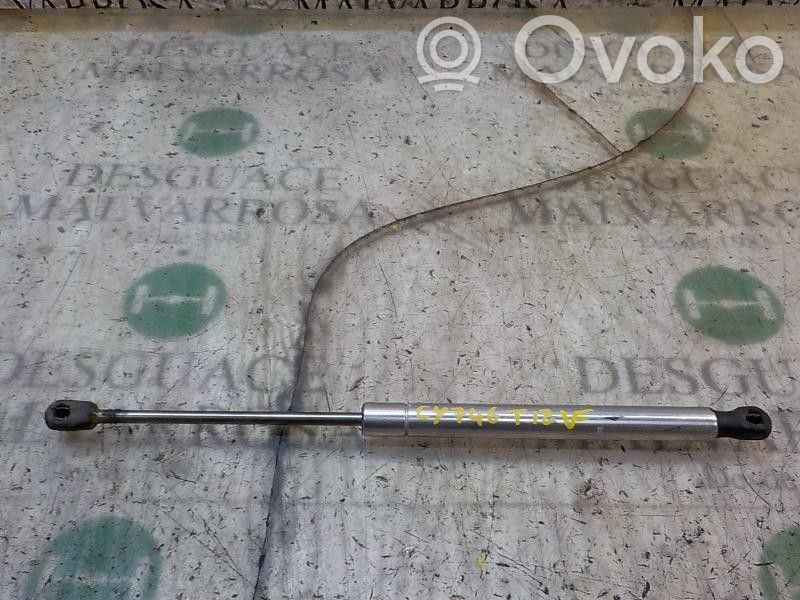 Audi A8 S8 D3 4E Tailgate/trunk strut/damper 