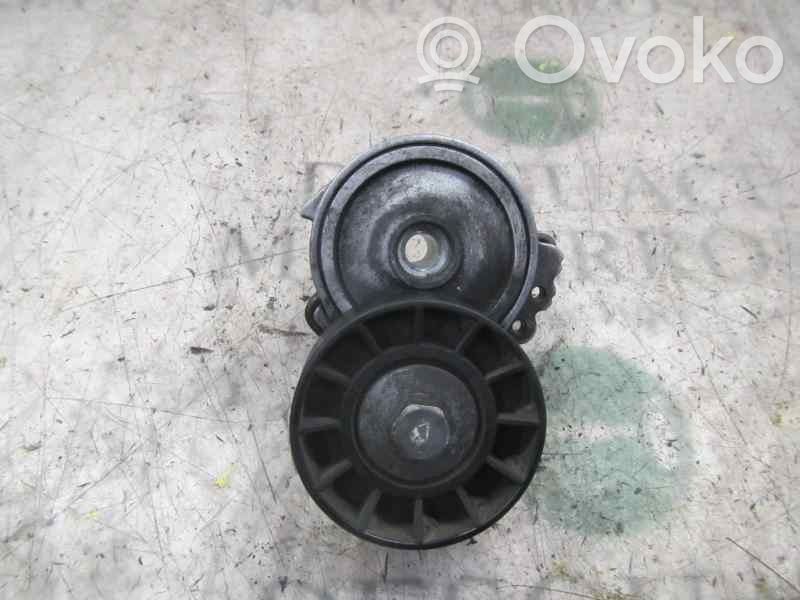 Peugeot 308 Napinacz paska alternatora 