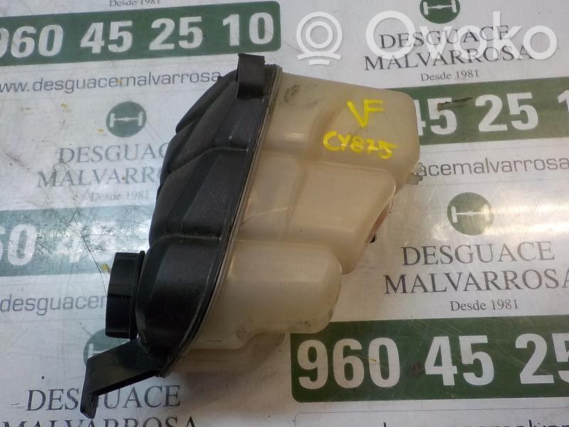 Ford Mondeo MK IV Vaso di espansione carburante 