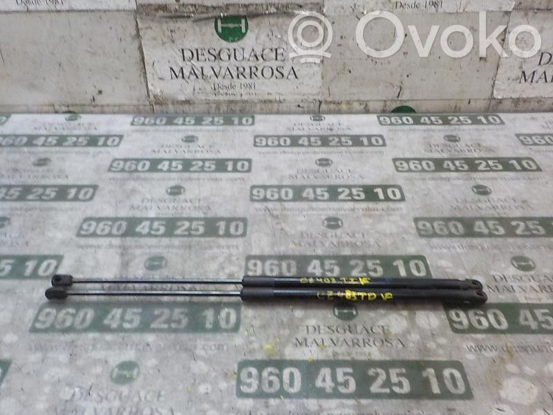 Amortiguador/puntal del maletero/compartimento de carga