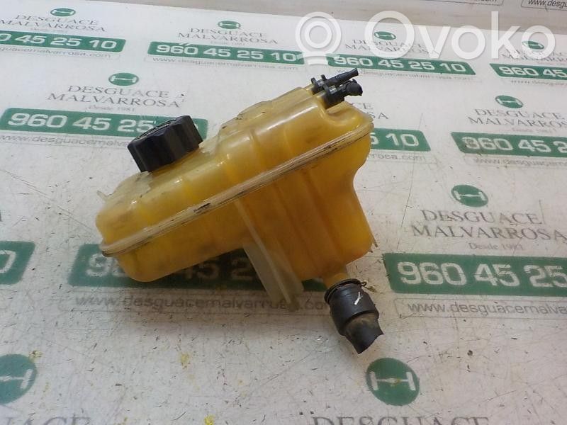 Peugeot 407 Vas expansiune combustibil 