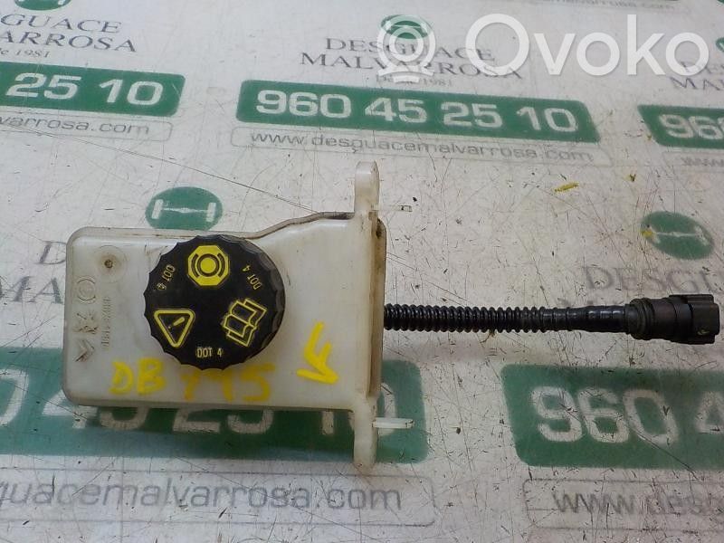 Servofreno   9807651580