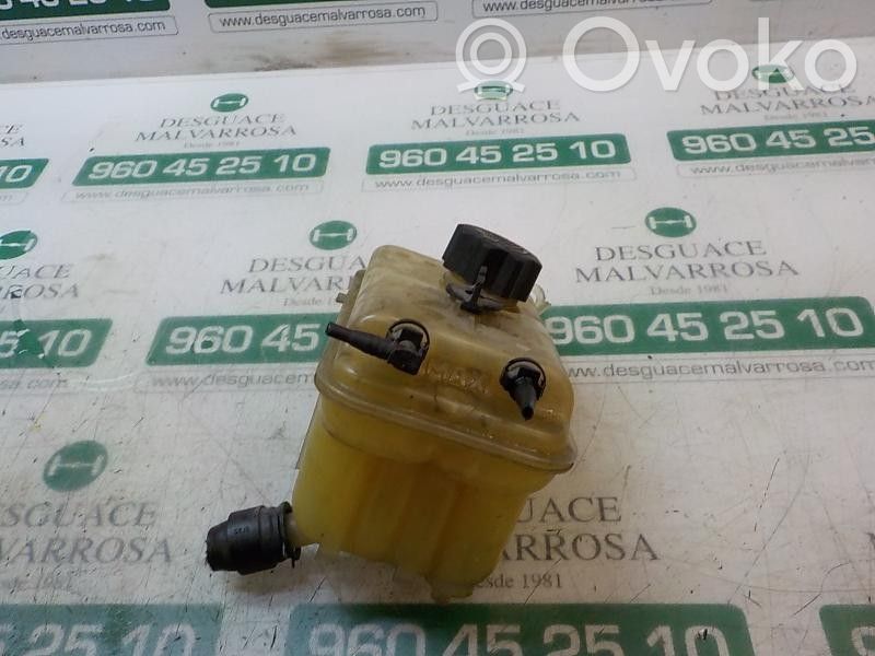 Peugeot 407 Vas expansiune combustibil 