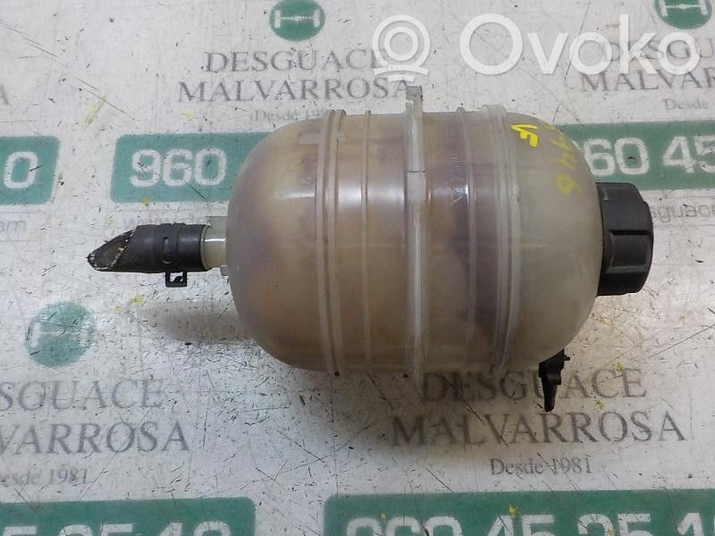 Peugeot 206+ Vaso di espansione carburante