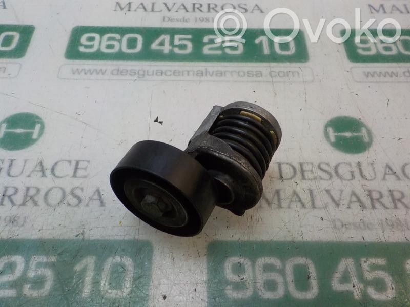 Volkswagen Golf SportWagen Napinacz paska alternatora 