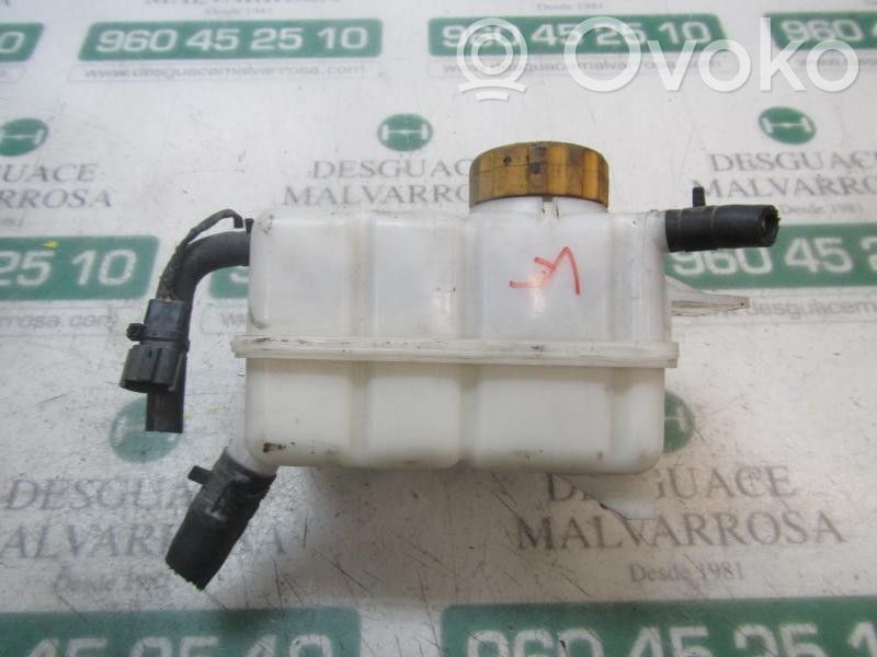 Chevrolet Aveo Vaso di espansione carburante