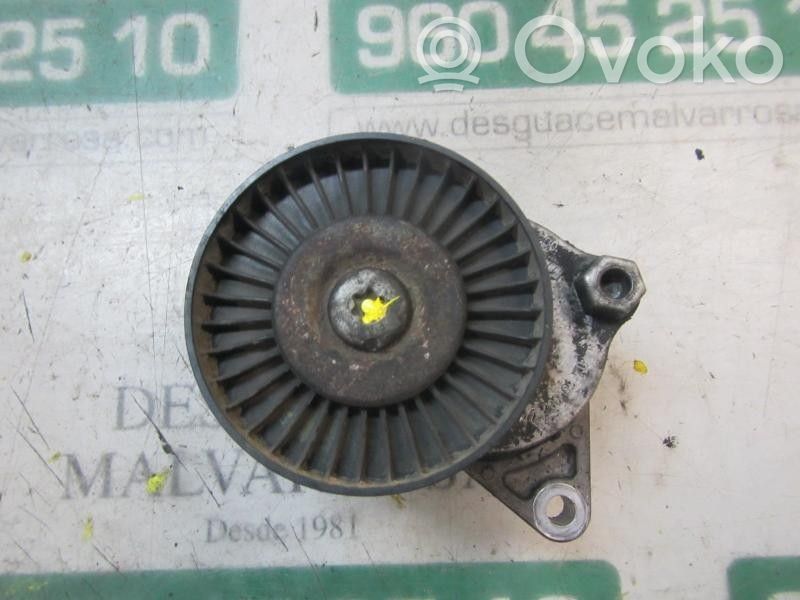 Mercedes-Benz E W211 Tendicinghia generatore/alternatore