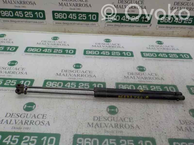 Tailgate/trunk strut/damper   1747492