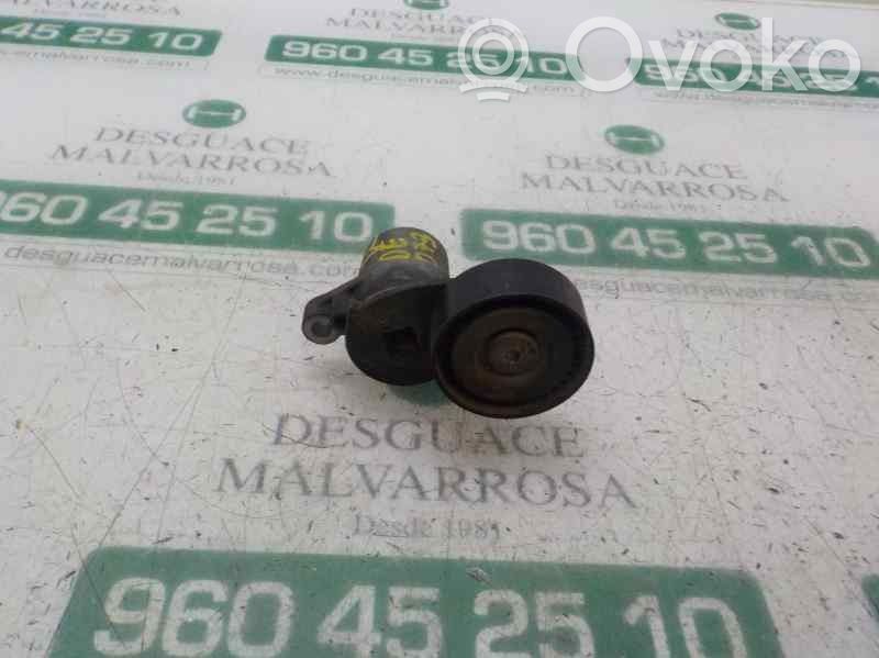 Ford Focus Diržo įtempėjas 