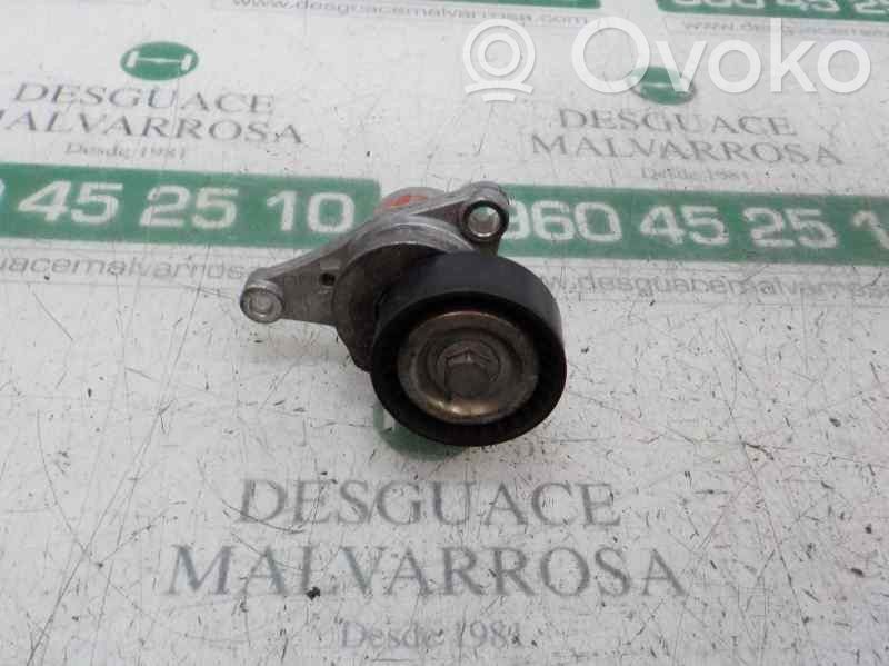 Tensor de correa del alternador   5751G7