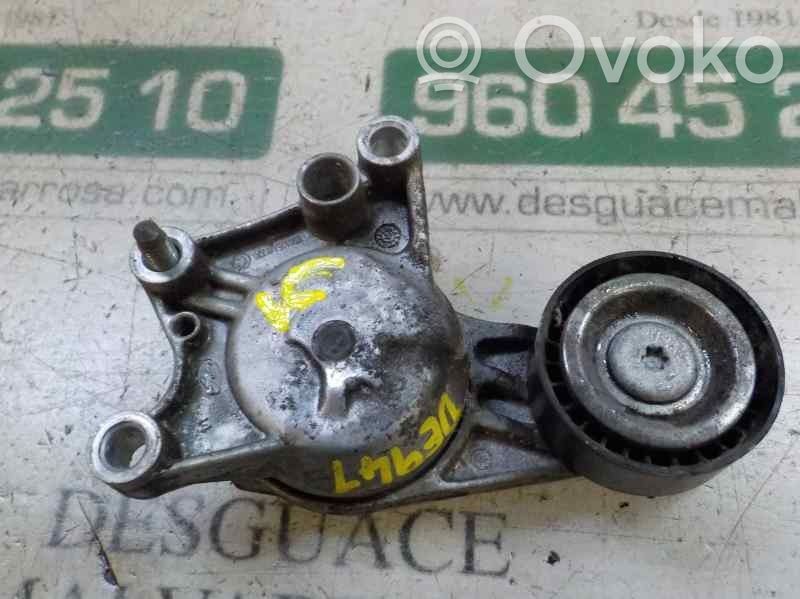 Întinzător curea generator/alternator   1611503780