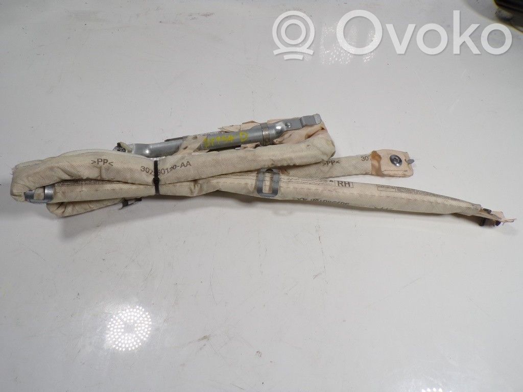 Opel Insignia A Airbag de la puerta delantera