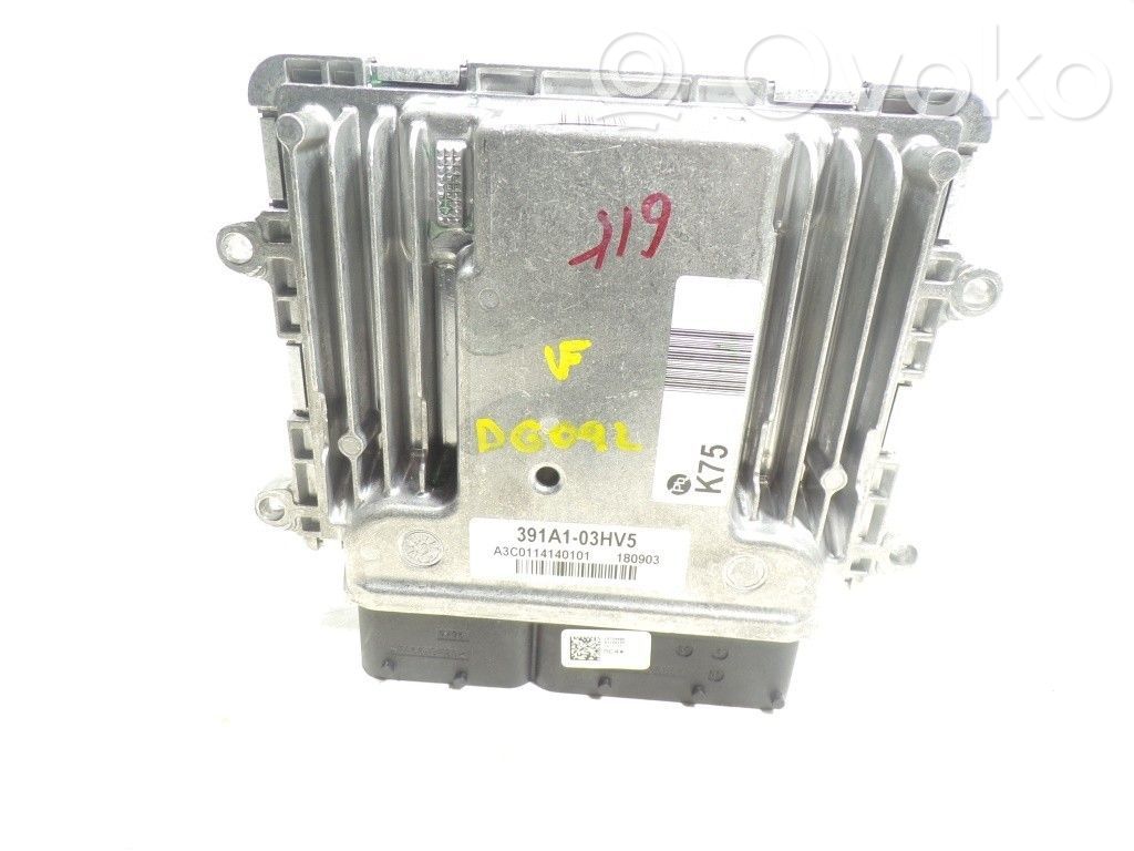 Engine control unit/module   3911003HV5,391A103HV5,A2C1984480101