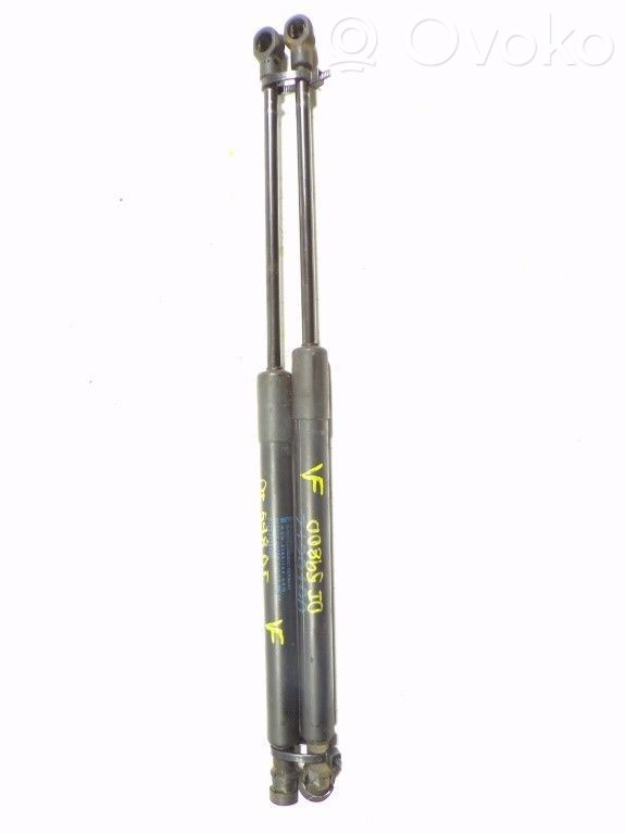 Tailgate/trunk strut/damper   51247127875