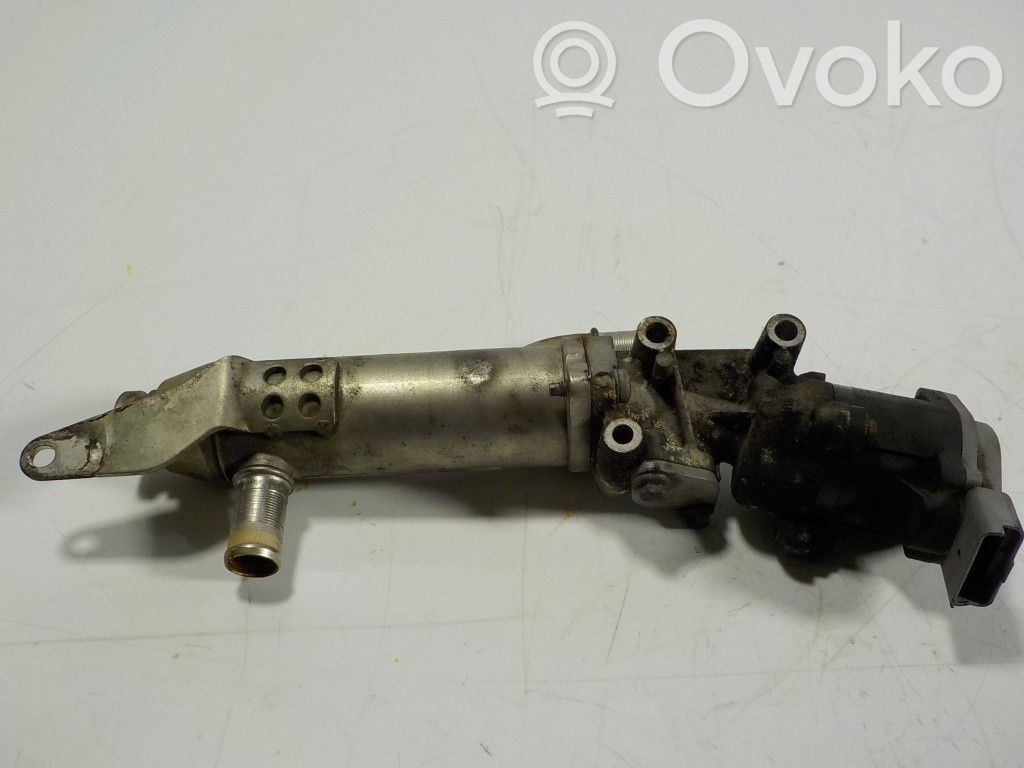 Land Rover Range Rover Sport L320 Supapă EGR 