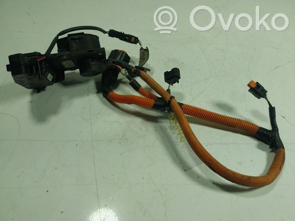 Alte unități/module de control   243916306R
