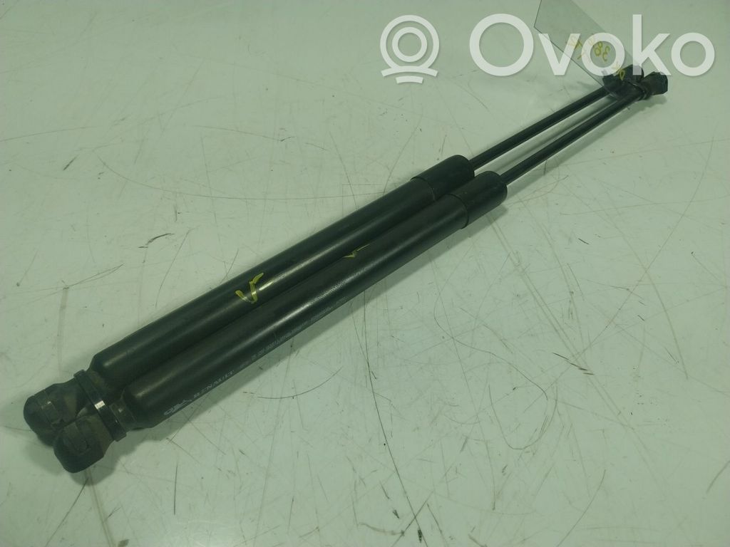 Tailgate/trunk strut/damper   904502915R