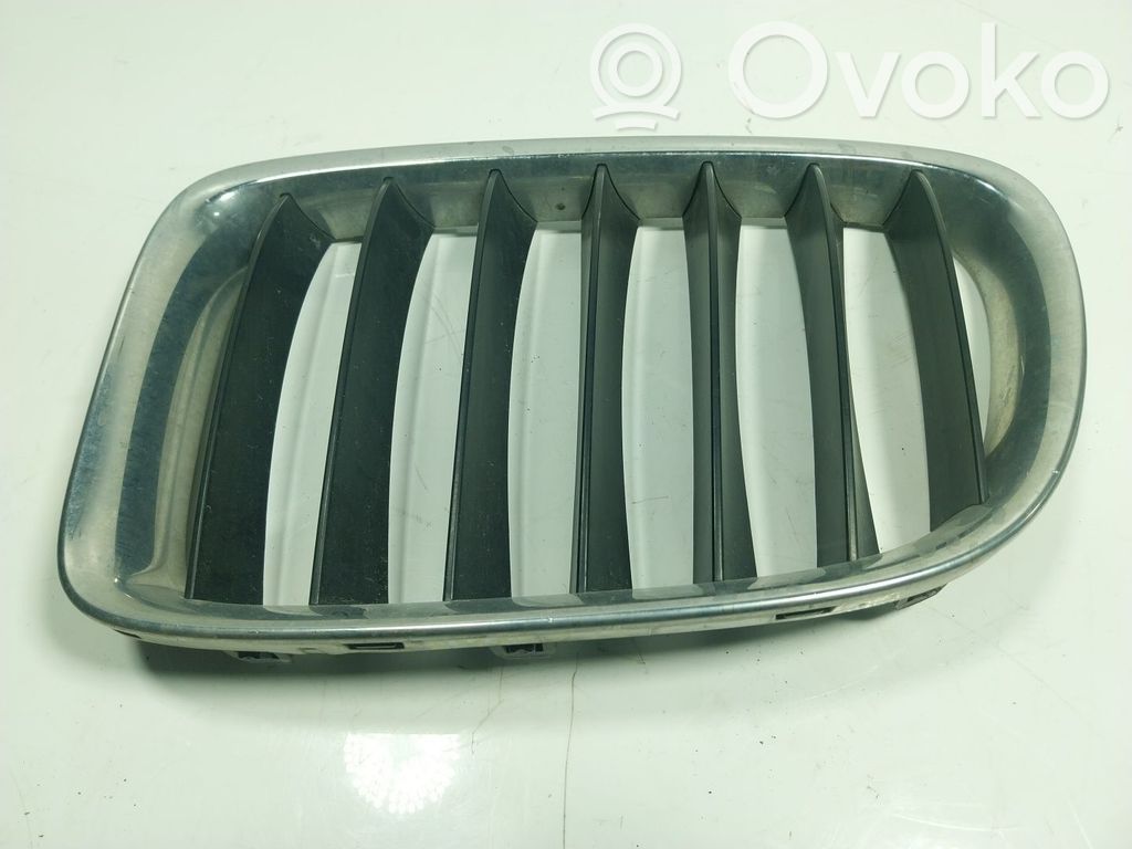 Front grill   51117347667