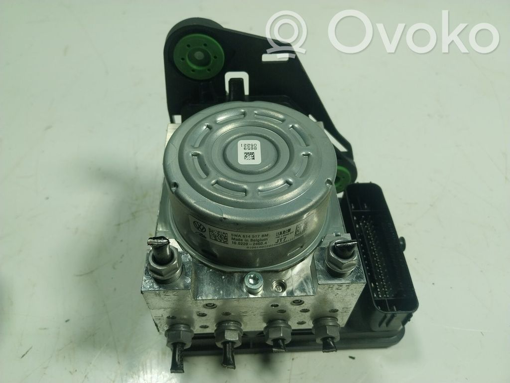 ABS Pump   5WA614517BMBEF,5WA614517BM