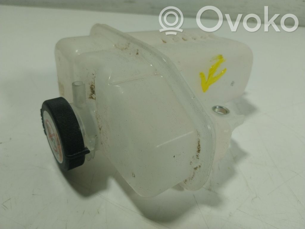 Toyota RAV 4 (XA50) Vaso di espansione carburante 