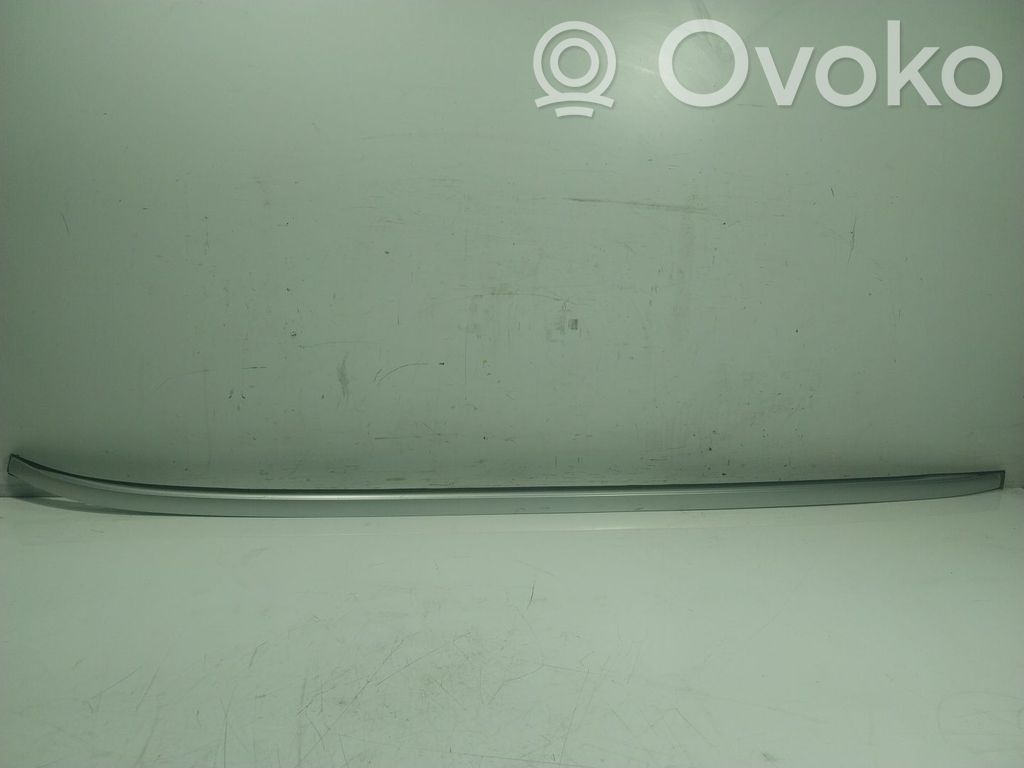 Relingi dachowe   T4A6064