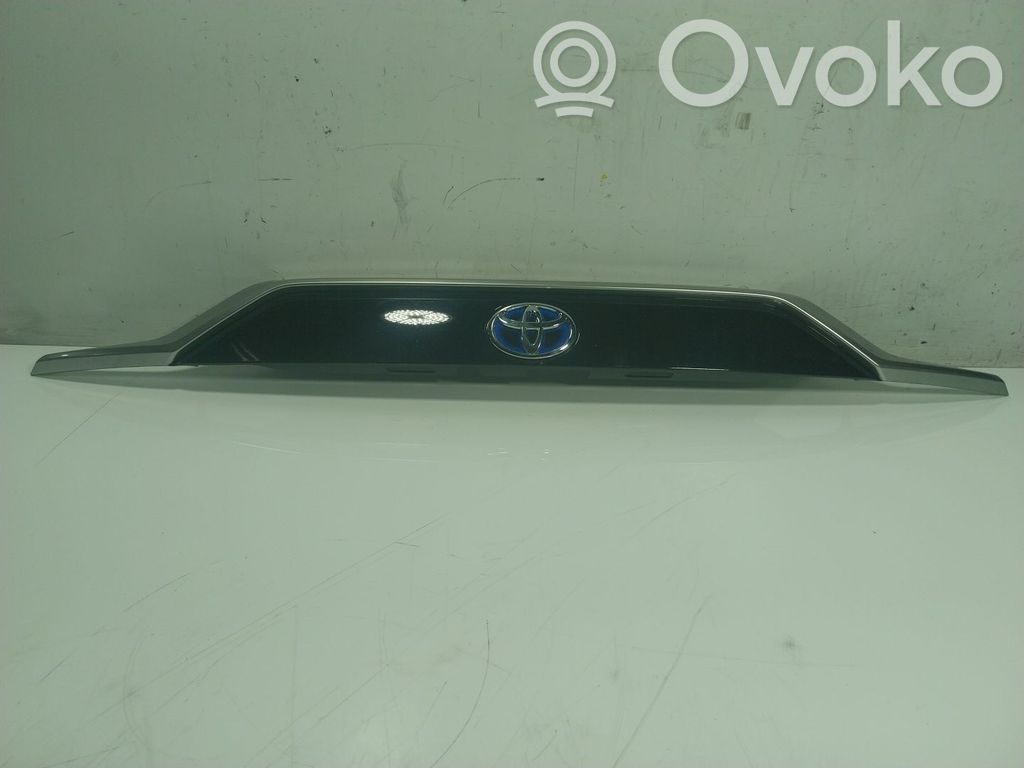 Toyota RAV 4 (XA50) Cerniere del vano motore/cofano