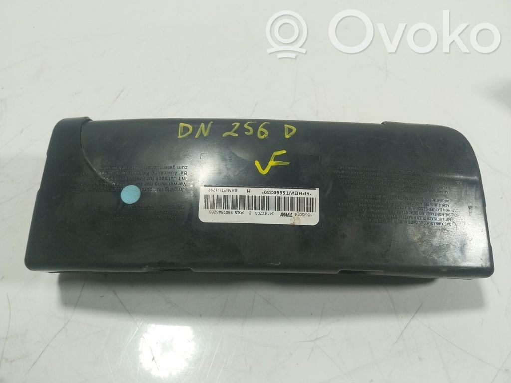 Airbag lateral   9802546280,9802546280