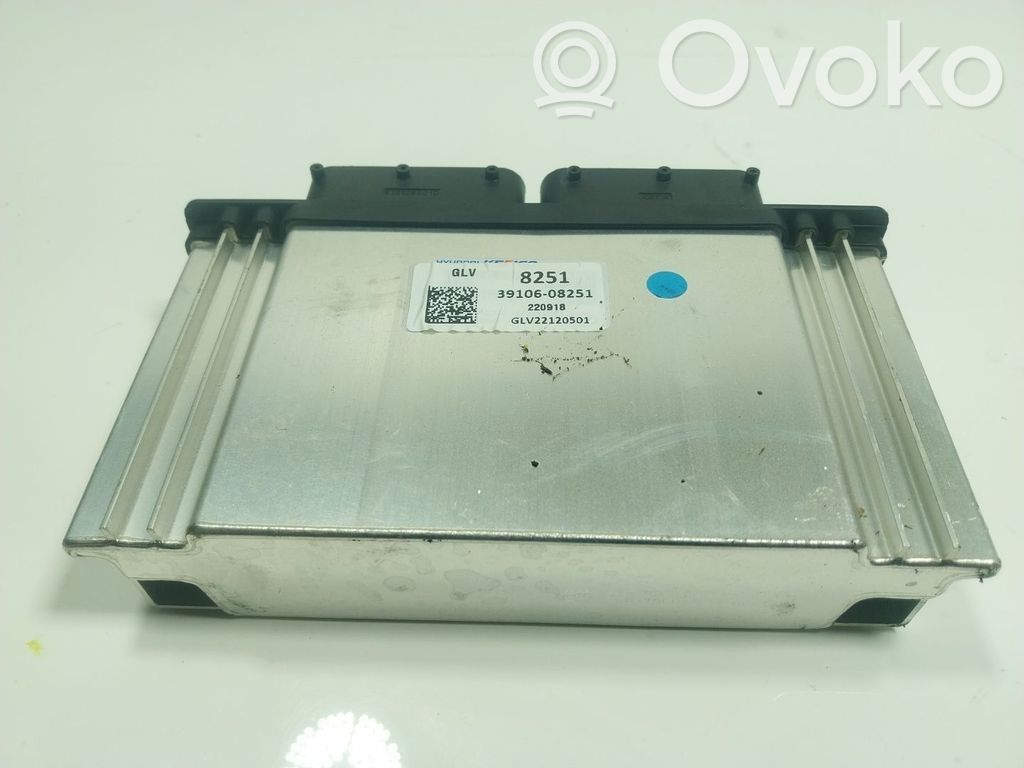 Centralina/modulo del motore   3910608251