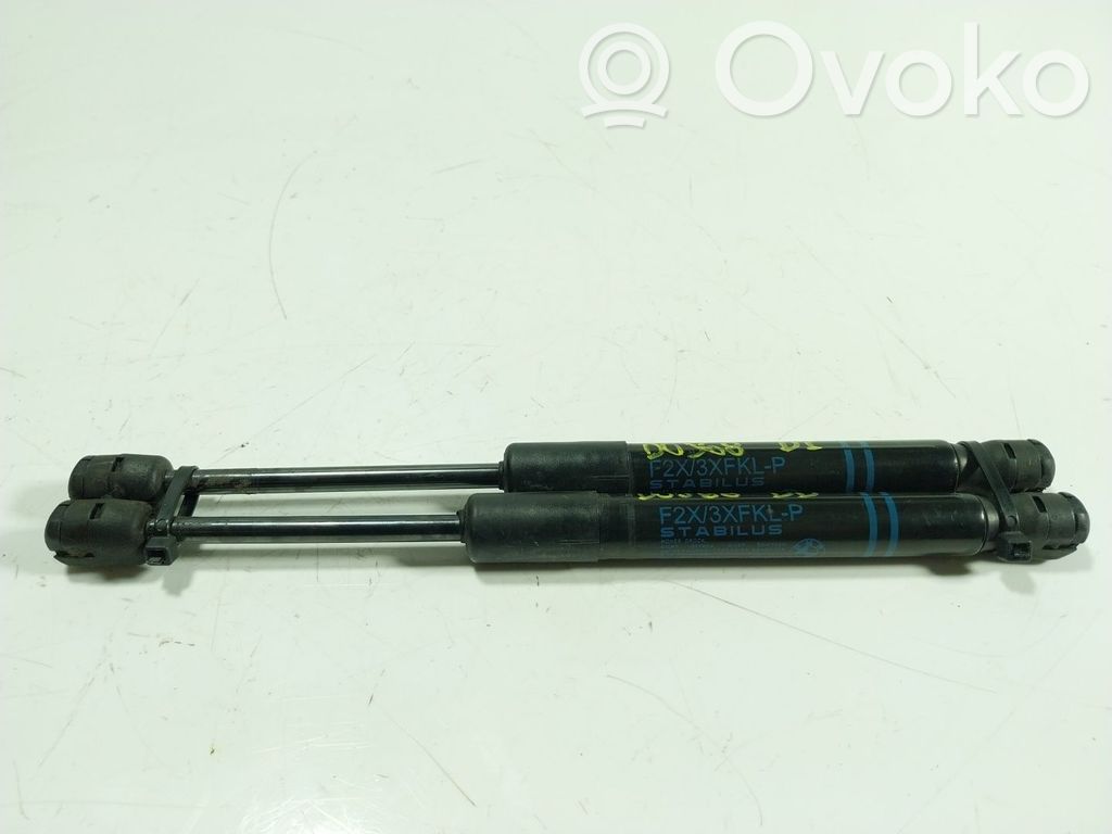 BMW 1 F20 F21 Ammortizzatore portellone anteriore/cofano