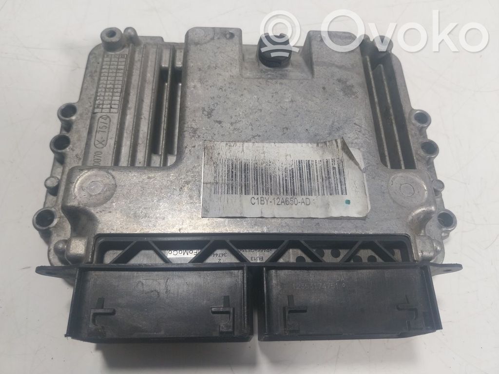 Ford Fiesta Engine control unit/module 