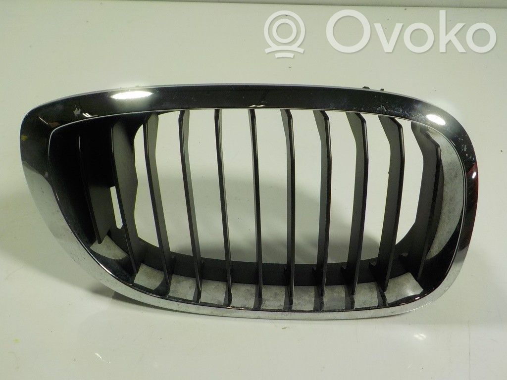 BMW 3 E46 Kühlergrill 