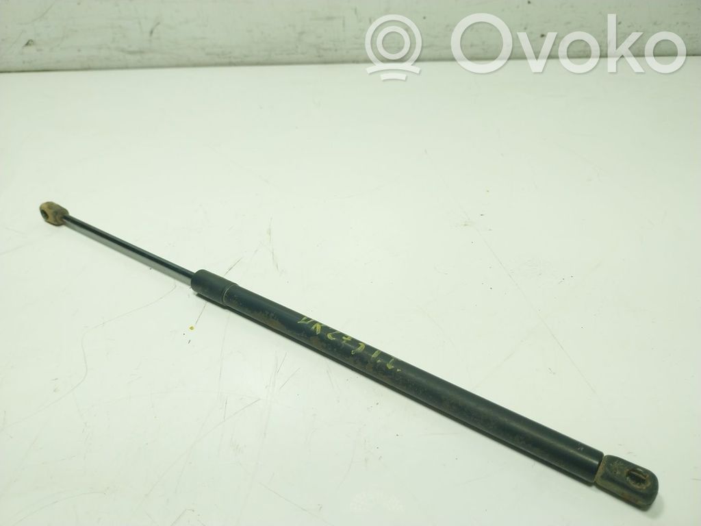Tailgate/trunk strut/damper   7145034004