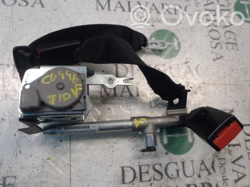 Cintura di sicurezza posteriore   72119138233
