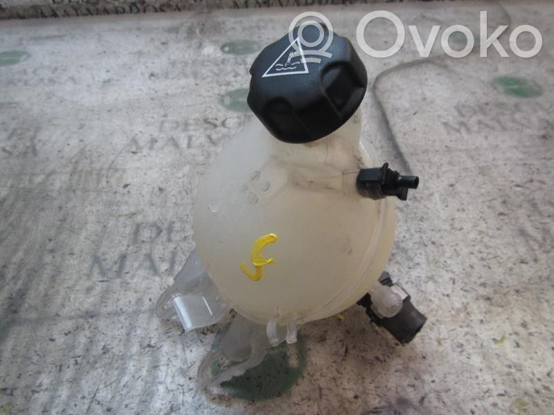 Depósito de expansión de combustible   9800777280