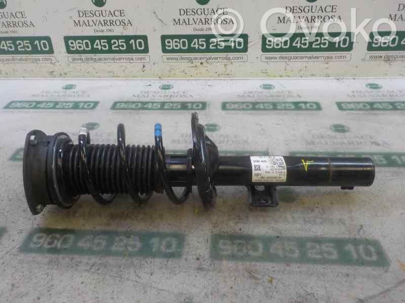 Front shock absorber with coil spring   2Q0413031BE,2Q0413031BE,82490316579