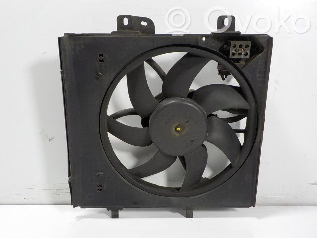 Elektrolüfter   9812028580,9673999980,F2182013