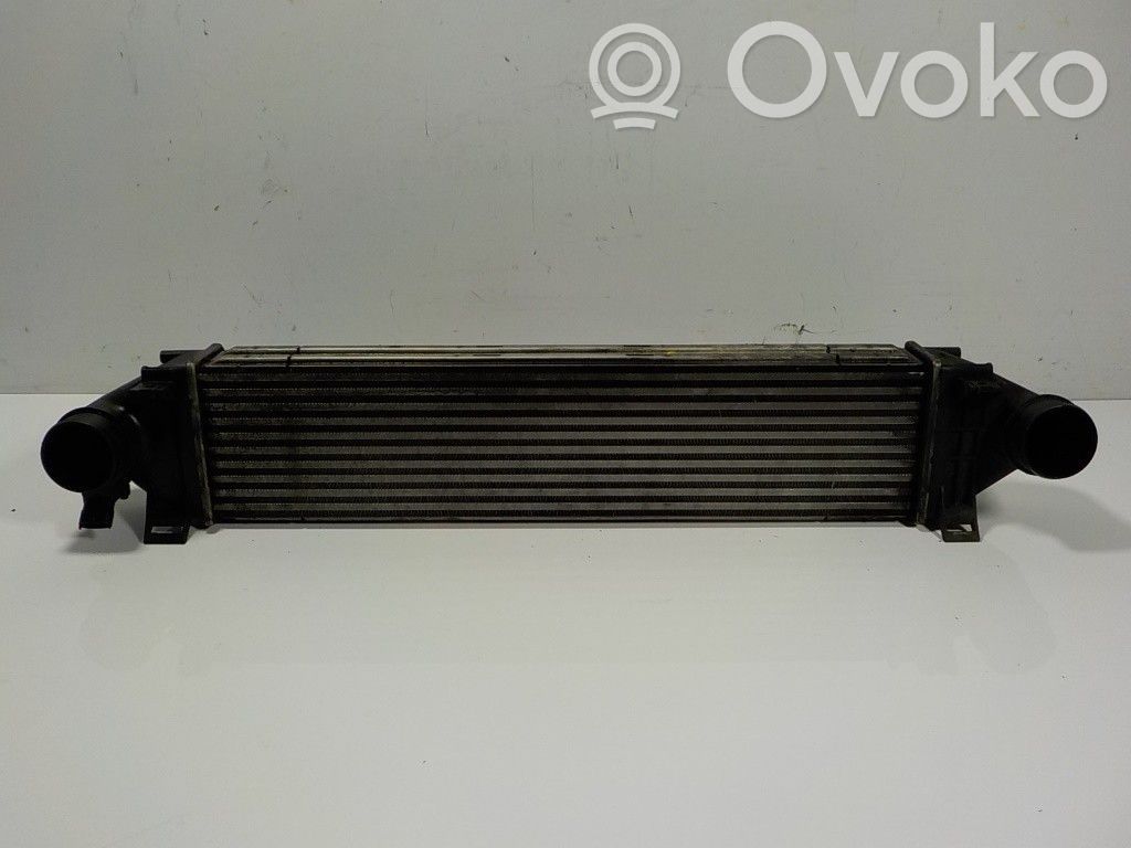 Land Rover Freelander 2 - LR2 Radiatore intercooler 