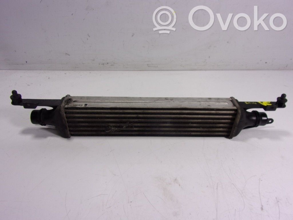 Radiador intercooler   55702194,872051100